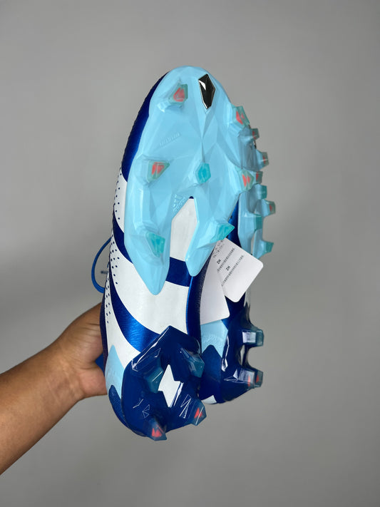 Adidas Predator Accuracy .1 Fg